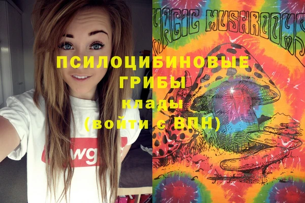 амф Струнино